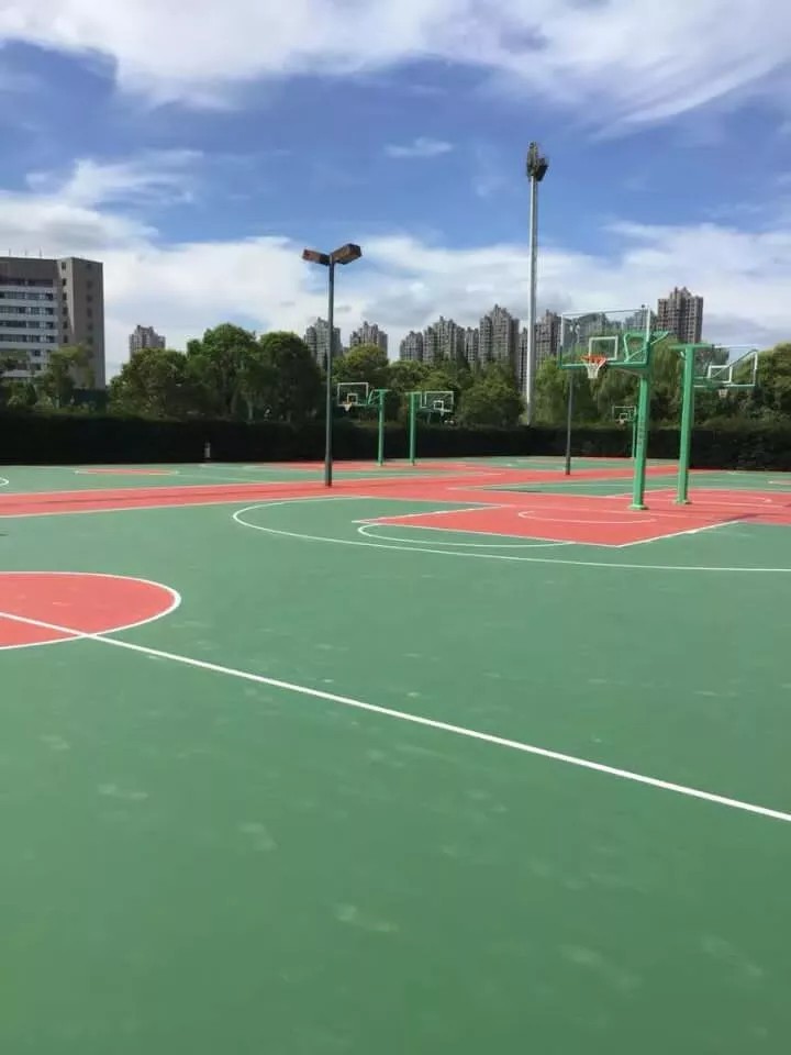 球派体育官方网站图片